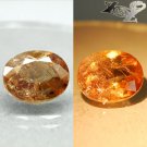 8.54 Ct.Firely Natural Oval 12.5*14 mm. Color Shift Brown France Ferro Axinite