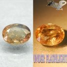 5.07 CT.Natural Oval 9.5*12 mm. Intense Lilac Yellow Color Shift Ferro Axinite
