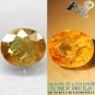 7.26 CT.Natural Oval 11*13 mm. Intense Lilac Yellow Color Shift Ferro Axinite