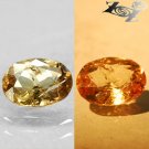 2.51 Ct.Natural Oval 8*10 mm. Color Shift Intense Yellow France Ferro Axinite