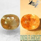 6.69 CT.Natural Oval 10*12 mm. Intense Salmon Yellow Color Shift Ferro Axinite