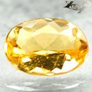 Flawless Natural Oval 6*8 mm. Intense Yellow Madagascar Beryl 0.93 CT.Gem 黃色綠柱石