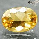 Firely Flawless Natural Oval 6*8 mm.Madagascar Yellow Beryl 1.09 CT. Gems 黃色綠柱石