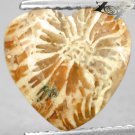 3.46 Ct.Natural Heart 10.3*10.7 mm Clear Polyp Flower Brown Indonesia Coral 珊瑚