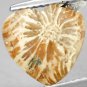 3.46 Ct.Natural Heart 10.3*10.7 mm Clear Polyp Flower Brown Indonesia Coral çç