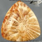 4.85 Ct.Natural Trillion 11.5 mm. Flower Polyp Pattern Yellow Indonesia Coral