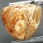 4.85 Ct.Natural Trillion 11.5 mm. Flower Polyp Pattern Yellow Indonesia Coral