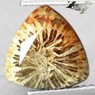 4.42 CT.Unusual Natural Trillion 10.5 mm Polyp Pattern Flower Yellow Coral 珊瑚