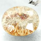 9.06 CT.Natural Oval 12*15 mm Flower Polyp Pattern Yellow Calcareous Coral 珊瑚