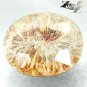 9.06 CT.Natural Oval 12*15 mm Flower Polyp Pattern Yellow Calcareous Coral 珊瑚