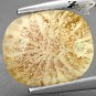 3.07 Ct.Natural Oval 9*11 mm. Flower Polyp Pattern Cream Yellow Calcareous Coral
