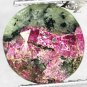 Natural Round 7.8 mm. Black Ptach Crystal Magenta Red Canada Eudialyte 1.92 Ct.