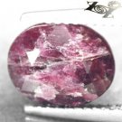 3.66 CT.Natural Oval 8*10 mm. Intense Magenta Red Crystal Whole Canada Eudialyte