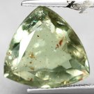 8 CT.Natural Trillion 14mm.Spark Hematite Kiwi Green Illusion Confetti Sunstone