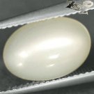 4.72 CT.Natural Oval 8.5*12 mm. Strong Cat's Eye Milky Yellow Moonstone Feldspar