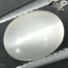 2.69 CT.Natural Oval 7*9 mm. Strong Cat's Eye Effect Crystal White Moonstone Gem