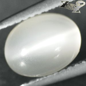 2.69 CT.Natural Oval 7*9 mm. Strong Cat's Eye Effect Crystal White Moonstone Gem