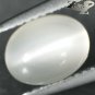 2.69 CT.Natural Oval 7*9 mm. Strong Cat's Eye Effect Crystal White Moonstone Gem