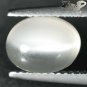 2.69 CT.Natural Oval 7*9 mm. Strong Cat's Eye Effect Crystal White Moonstone Gem