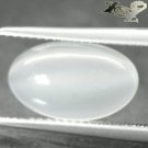 4.53 CT.Natural Oval 8*14 mm. Strong Cat's Eye Tanzania Holy White Moonstone Gem