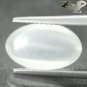 4.53 CT.Natural Oval 8*14 mm. Strong Cat's Eye Tanzania Holy White Moonstone Gem