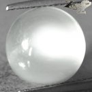 7.22 CT.Natural Round 12 mm.Strong Cat's Eye Effect Silky Yellow Moonstone Gems
