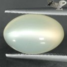 5.92CT.Natural Oval 9.5*14 Strong Cat's Eye Silky White Oligoclase Moonstone 月長石