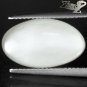 10.01 CT.Natural Oval 10*17 mm Cat's Eye Effect Silky White Oligoclase Moonstone