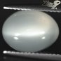 6.92 CT.Natural Oval 9.5*12.5 mm Cat's Eye Smoky White Moonstone Feldspar 月長石
