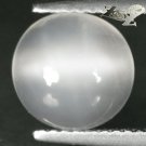 2.79 CT.Natural Round 10 mm. Cat's Eye Effect Crystal White Oligoclase Moonstone