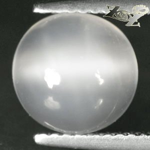 2.79 CT.Natural Round 10 mm. Cat's Eye Effect Crystal White Oligoclase Moonstone