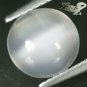 2.79 CT.Natural Round 10 mm. Cat's Eye Effect Crystal White Oligoclase Moonstone