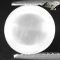 2.79 CT.Natural Round 10 mm. Cat's Eye Effect Crystal White Oligoclase Moonstone