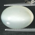 11.61 CT.Natural Oval 11.5*16 mm Strong Cat's Eye Silky White Moonstone Feldspar