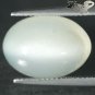 11.61 CT.Natural Oval 11.5*16 mm Strong Cat's Eye Silky White Moonstone Feldspar
