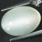 11.61 CT.Natural Oval 11.5*16 mm Strong Cat's Eye Silky White Moonstone Feldspar