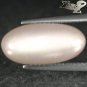 7.28 CT.Natural Oval 8*17 mm. Strong Cat's Eye Smoky Salmon Peach Moonstone Gems