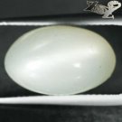 10.11 CT.Natural Oval 10*16 mm. Strong Cat's Eye Effect Silky Yellow Moonstone