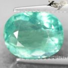 7.95 CT.Firely Natural Oval 10*12.5 mm. Intense Bright Green Vietnam Fluorite