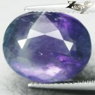 16.6 CT.Natural Oval 13*16 mm Intense Sweet Violet Green Layers Clear Fluorite