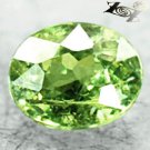 Natural Oval 5*6mm Clear Asbestos Rutile Red Spark Demantoid Garnet 0.95 CT. 翠榴石