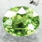 Natural Oval 5*6mm Clear Asbestos Rutile Red Spark Demantoid Garnet 0.95 CT. 翠榴石