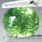 Natural Oval 5*6 mm. Red Spark Intense Green Andradite Demantoid Garnet 1.09 CT.