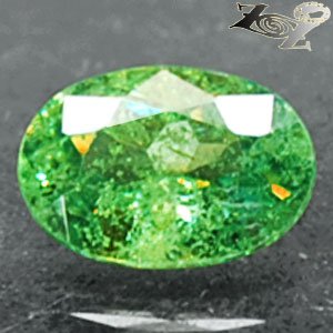 Firely Natural Oval 5*7mm. Red Spark Intense Demantoid Andradite Garnet 0.95 CT.