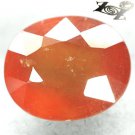 10.53 CT.Natural Oval 11.5*13.5 mm. Mandarin Orange Tanzania Hessonite Garnet