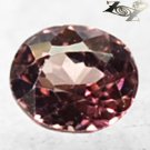 VVS1 Full Fire Natural Oval 4.5*5mm.Intense Padparadscha Pink Malaya Garnet 0.63 Ct.