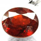 7.4 CT.Firely Natural Oval 9.5*10.5mm Intense Red Orange Spessartite Garnet 錳鋁榴石