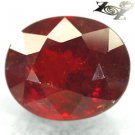 16.74 CT.Natural Oval 12*14 mm. Vivid Red Orange Namibia Spessartite Garnet 錳鋁榴石