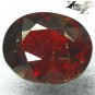 13.69 CT.Natural Oval 11.5*14 mm. Red Orange Namibia Spessartite Spessartine Gem