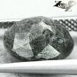 3.64 CT.Natural Oval 9.5*10.5 mm. Titanium Blue Scheen Streaks Nuummite Jenakite